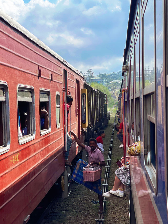 冬季反向遊 | 斯里蘭卡必體驗，高山茶園火車之旅！