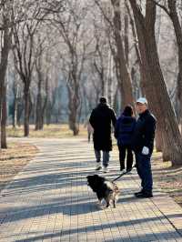 北京冬日逛公園34｜京城森林公園