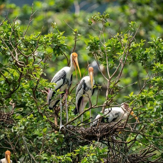 Wonderful place to visit - Zoo Negara Malaysia