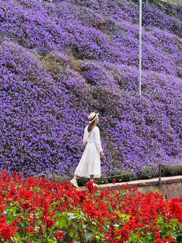 Flora park 🌸 A place bloomed with flowers 