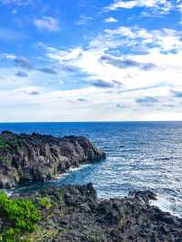 【静岡🇯🇵】自然の歴史を感じさせる城ヶ崎海岸