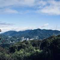 Nature's Hiking Adventure in the Cameron Highlands