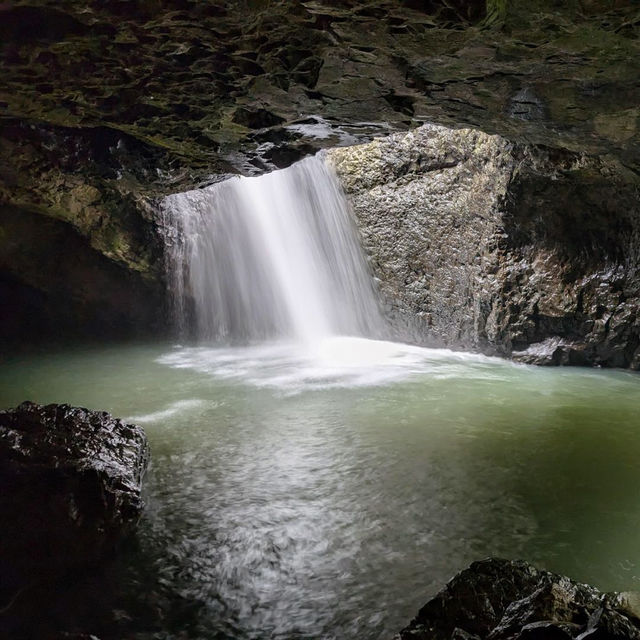 Marvel at the Natural Bridge in Springbrook National Park