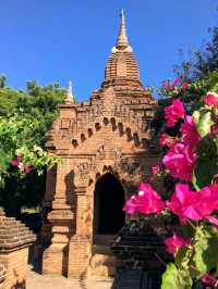 蒲甘王國最後一座緬式佛塔，九重葛花海中的悉隆敏羅佛塔 Htilominlo Pagoda 