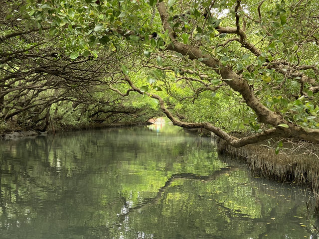 臺南｜四草綠色隧道