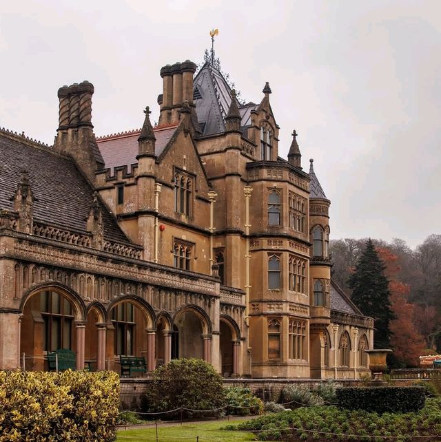 A Festive Wonderland: Christmas at Tyntesfield