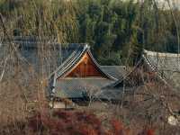 嵯峨天龍寺