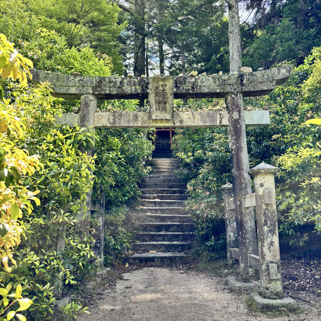 瀨戶內海單車旅行