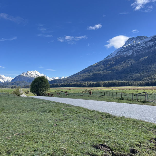 【NZ】スリリングなグレノーキーへ🚙