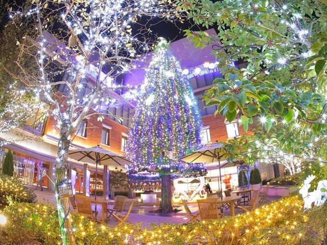 Kurume city illumination 