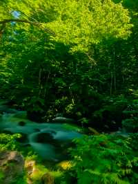 從步行天堂到海底隧道｜夏日陸奧千里行【十三】。