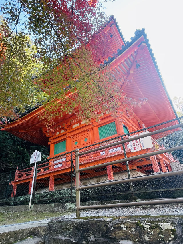 日本·和歌山。