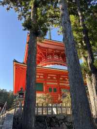 世界文化遺產日本佛教聖地高野山一日遊