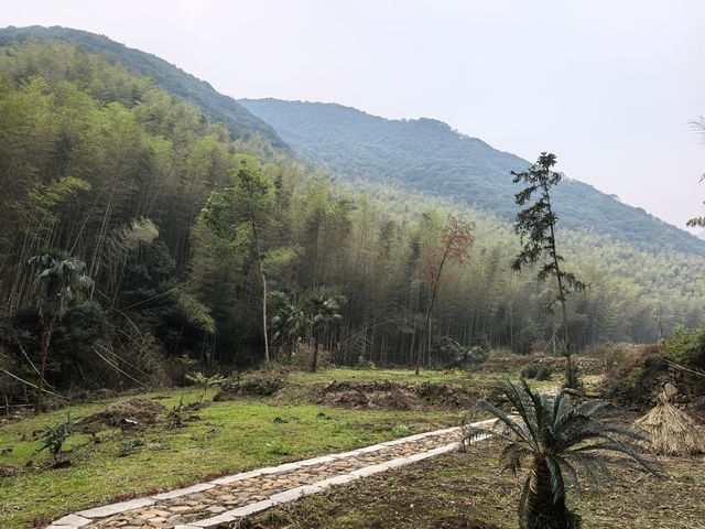 2024年的最後一次徒步 - 梅坞古道 & 考古遺址公園