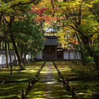 京都西芳寺：禪意深遠的幽靜花園