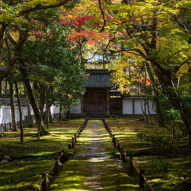 京都西芳寺：禪意深遠的幽靜花園