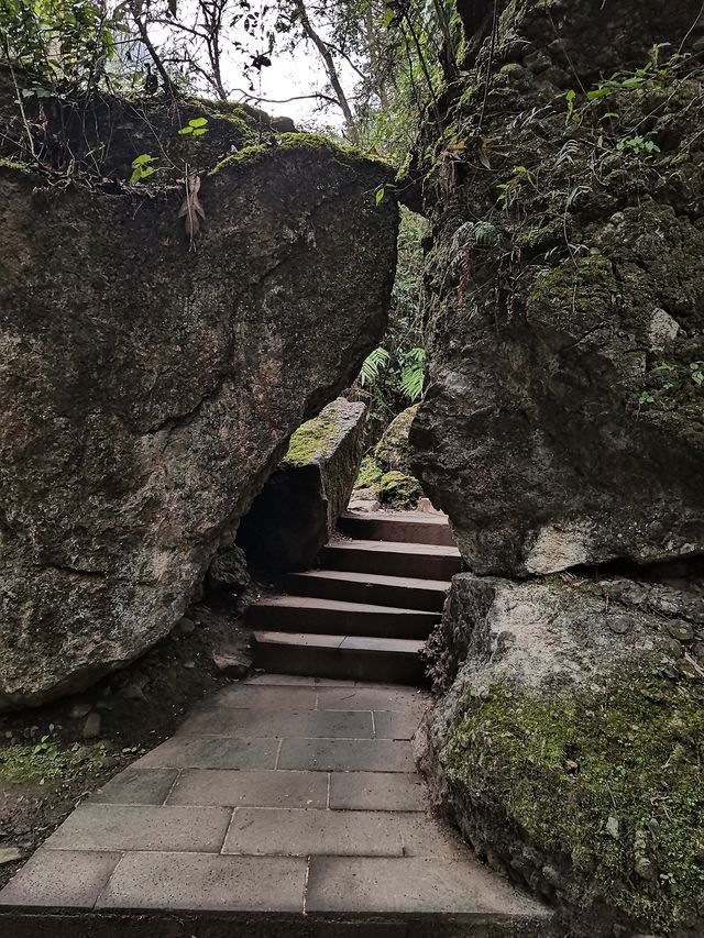 成都——都江堰青城山（後山）