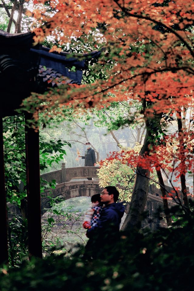 上海惠南古鐘園美景