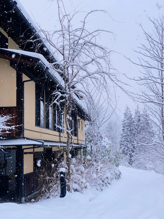 日本高山｜這家雪景溫泉已經 next level！！！