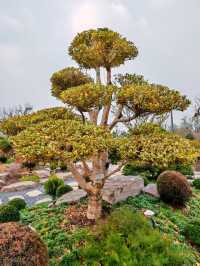 世界花藝園之禪境園和岩石花園