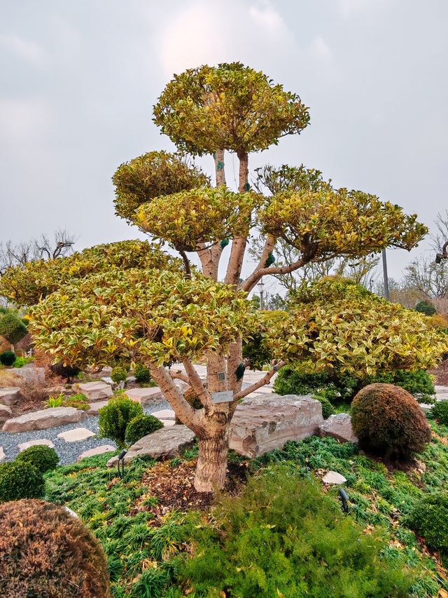 世界花藝園之禪境園和岩石花園