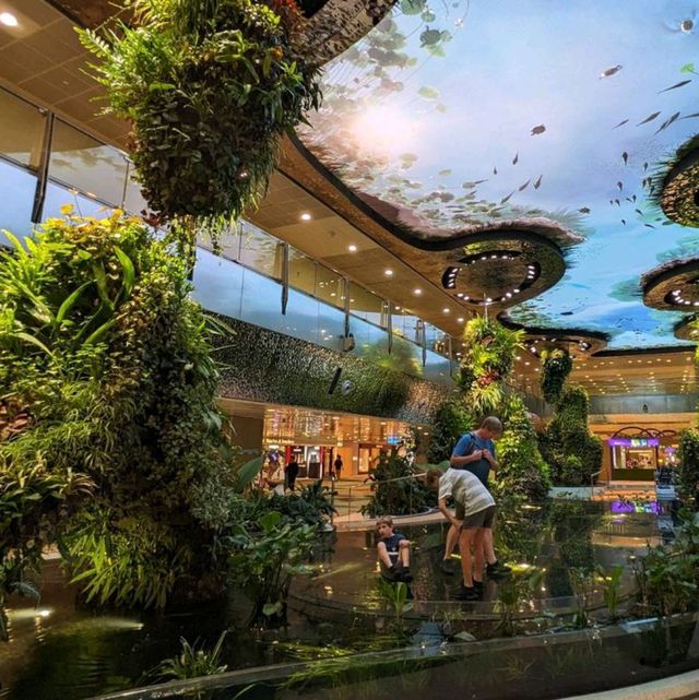 Changi Airport:  Ultimate Travel Experience🌟🇸🇬"