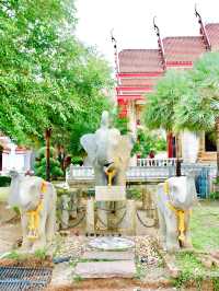 The Largest, Most Honored & Most Visited Buddhist Temple in Phuket🇹🇭✨