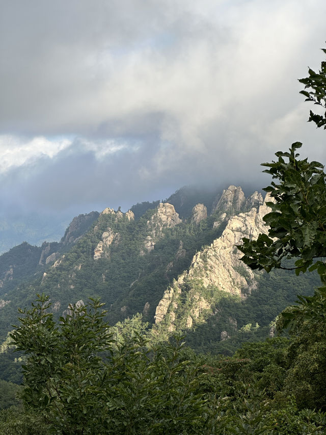 첩첩산중 🏞️ 아름다운 백두대간 풍경을 볼 수 있는 산 속 전망대 휴게소 💚