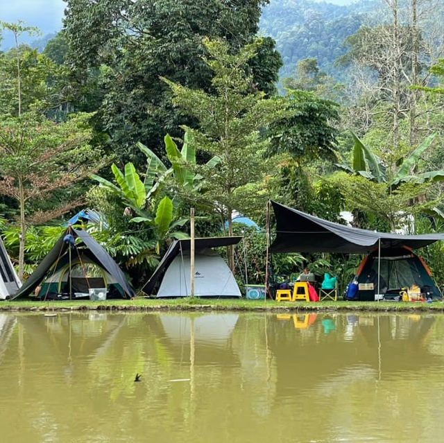 "Serene Camping Experience at Tanjung Hill, Janda Baik"