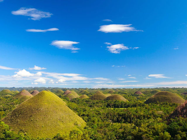 The Chocolate Hills: remarkable geological formation and iconic hills in the island of Bohol. 