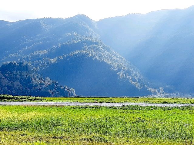 【博卡拉】漫步山林村莊🏡city walk，絕美梯田田園風光，純粹的綠色寧靜。