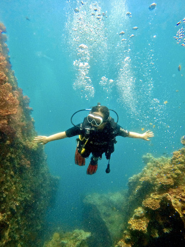 Bali’s Best Dive Sites 🤿