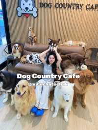 Dog country cafe @mixt chatuchak🐕