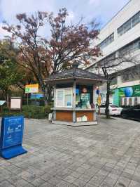 가을가을한 낭만적인 공원 경상감영공원🌿🧡