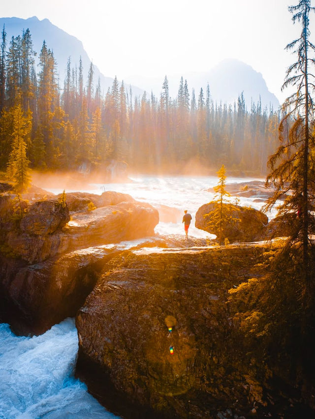 Exploring Canada: A Journey Through Natural Wonders and Vibrant Cities