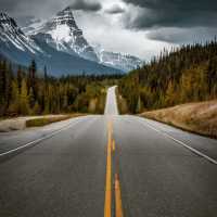 Fall in Love with the Drive to Banff National Park