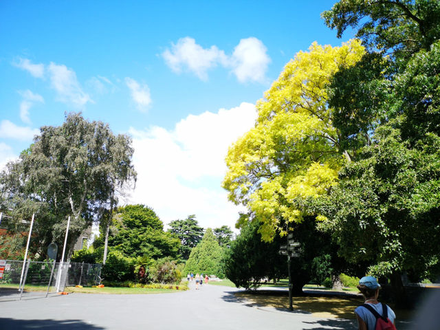 🇳🇿 新西蘭基督城 最像英國的城市？