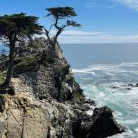 Monterey: Where Coastal Beauty Meets Timeless Charm