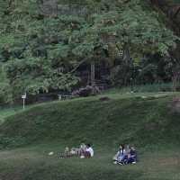 清邁大學是最有泰國夏天味道的地方