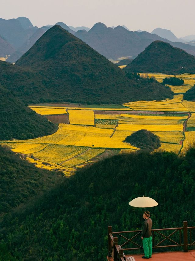 《國家地理》沒騙我