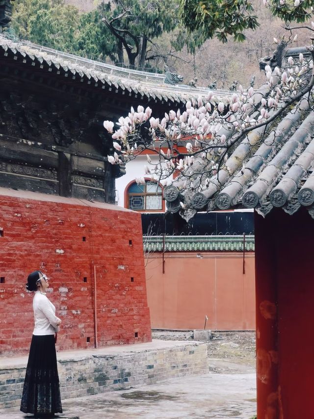 穿越千年，打卡平武報恩寺