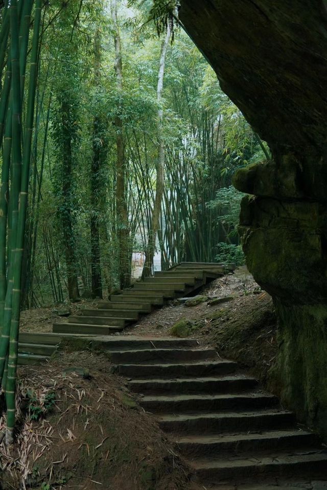 川西竹海風景