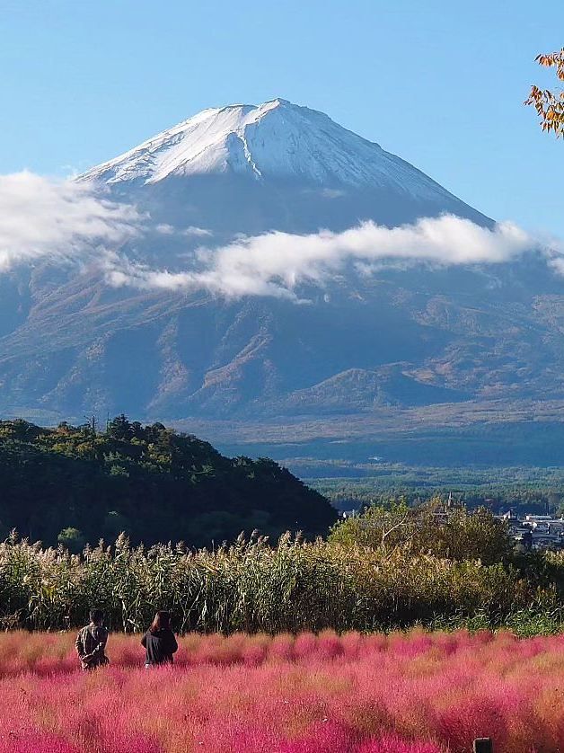 日本6日秋遊 美景當前不容錯過。