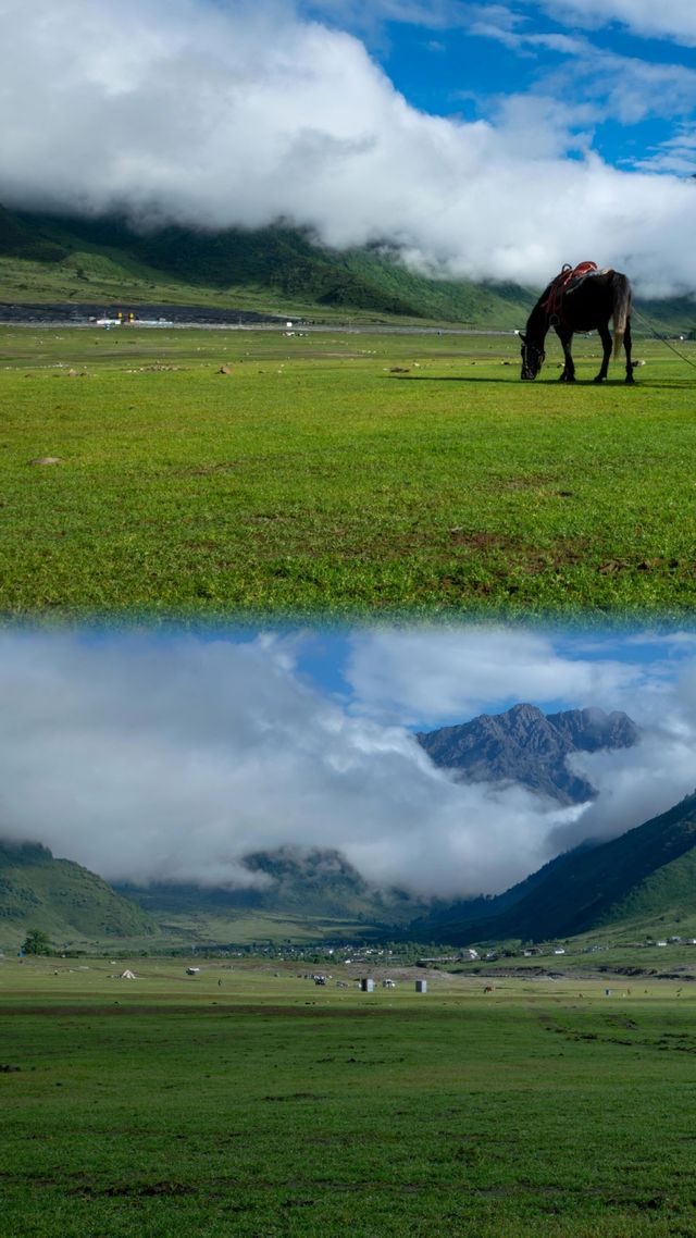 涼山人自己的阿勒泰。