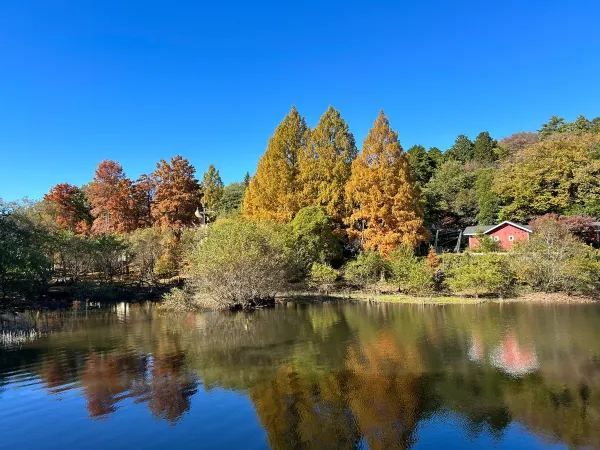 Moomin Valley Park: A Fairy Tale Town in Autumn