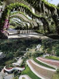 廣州全新植物園雲蘿植物園遊玩攻略。