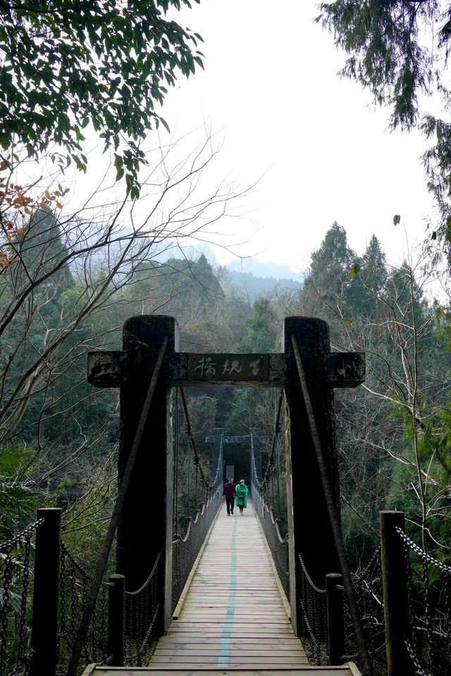 危乎高哉 蜀道之難難於上青天