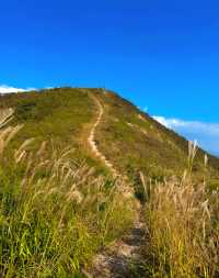 在鸬鳥山，感受大自然的鬼斧神工