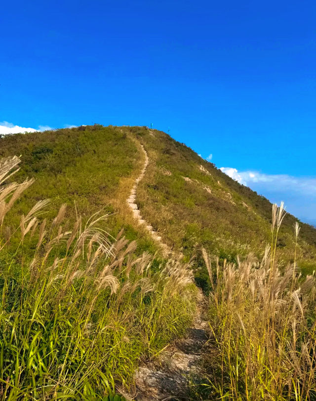 在鸬鳥山，感受大自然的鬼斧神工