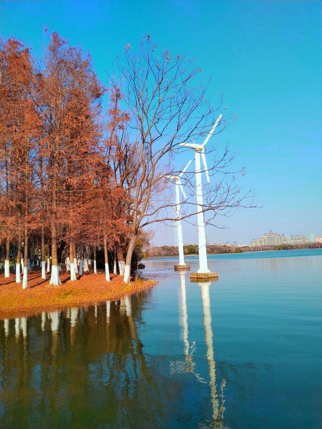 換個城市遛娃～暨陽湖生態園